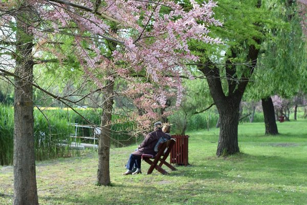 Pourquoi la solitude est néfaste pour les plus de 50 ans ?