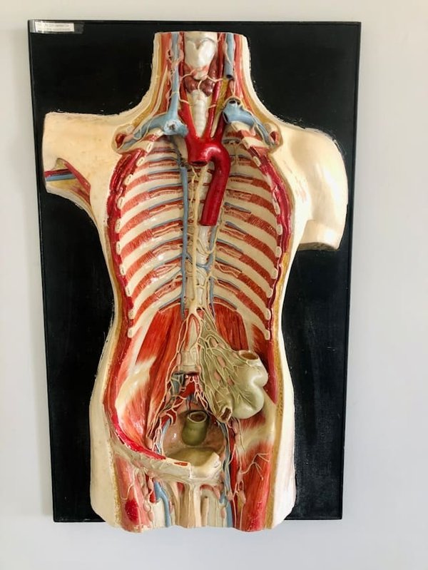 Chakra de gorge : avec quelles pierres l'équilibrer ?